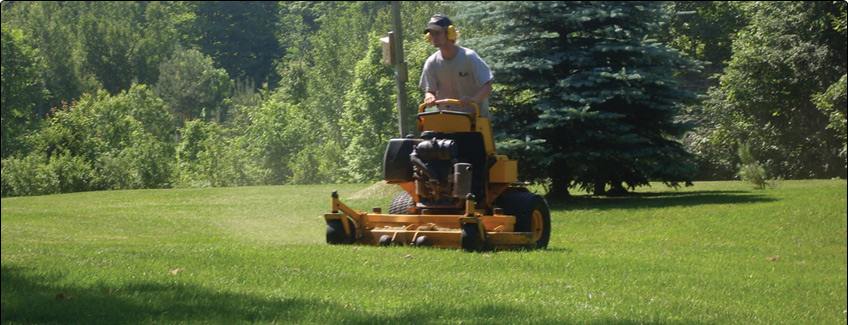 lawn maintenance